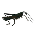 Green Grasshopper Handmade Metal Pin