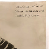 1946 Blue Check Cock Racing Pigeon Portrait Photograph, 500 Mile Winner