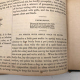 1858 American Text Book for Letters Penmanship Instruction with Lots of Alphabets