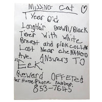 Vintage Mimeographed Missing Cat Flier