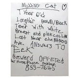 Vintage Mimeographed Missing Cat Flier