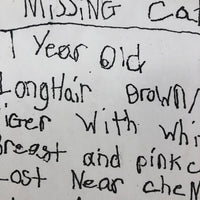 Vintage Mimeographed Missing Cat Flier
