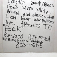 Vintage Mimeographed Missing Cat Flier
