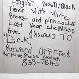 Vintage Mimeographed Missing Cat Flier