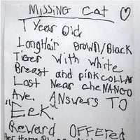 Vintage Mimeographed Missing Cat Flier