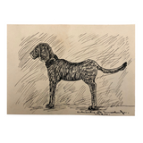 Black Ink Dog Drawing by Charles G. Martin Jr., 1926