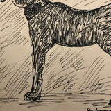 Black Ink Dog Drawing by Charles G. Martin Jr., 1926