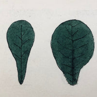Irene Hennelly's 1908 Leaf Ornament Watercolor