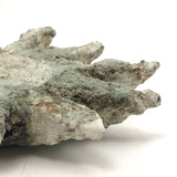 Curious Crusty Primitive Iron Bird