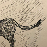 Black Ink Dog Drawing by Charles G. Martin Jr., 1926