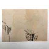 Black Ink Dog Drawing by Charles G. Martin Jr., 1926