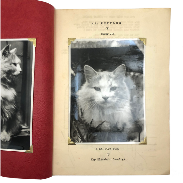 Mr. Puffles of Mount Joy, 1950 Mimeographed Book with Many Real Cat Photos!