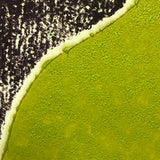 Amaranth Ehrenhalt "Conifers", Signed Woodblock Print, ed. 50, c. 1960s