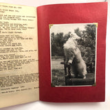 Mr. Puffles of Mount Joy, 1950 Mimeographed Book with Many Real Cat Photos!