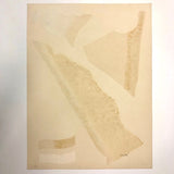 Amaranth Ehrenhalt "Conifers", Signed Woodblock Print, ed. 50, c. 1960s