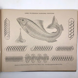 Knowles & Maxim 1881 "Real Pen Work" Spencerian Penmanship Instruction Book