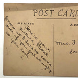 Here is Your Picture, Easter Greetings Hand-drawn Postcard with Great Back