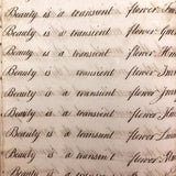 Horatio Crane Penmanship + Math Notebook, 1816, Boston MA