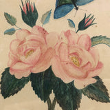 19th C. Theorem Watercolor Roses and Butterflies in Great Period Frame