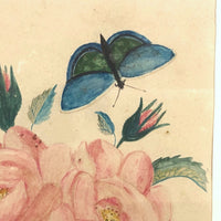 19th C. Theorem Watercolor Roses and Butterflies in Great Period Frame