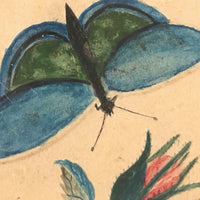 19th C. Theorem Watercolor Roses and Butterflies in Great Period Frame