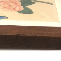 19th C. Theorem Watercolor Roses and Butterflies in Great Period Frame
