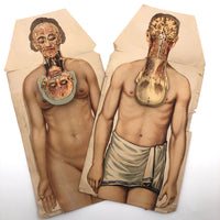 Paper Fold Out Anatomical Models, Male and Female Pair, 1930-40ss