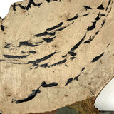 Sweet Old Hand-painted Wooden White Goose