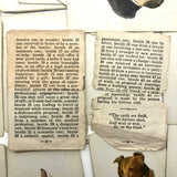 Original 1923 Teuila Fortune Telling Cards, Complete Deck with Instruction Booklet