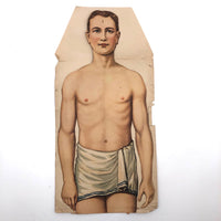 Paper Fold Out Anatomical Models, Male and Female Pair, 1930-40ss