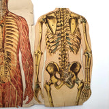 Paper Fold Out Anatomical Models, Male and Female Pair, 1930-40ss