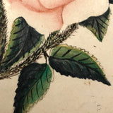 Mid 19th Century Watercolor and Gouache Pink Roses, From Sister to Brother