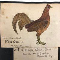 Two Prize Roosters, Greenville NY, Early 20th Century Drawings