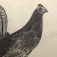 Two Prize Roosters, Greenville NY, Early 20th Century Drawings