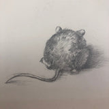 Little Mouse Pencil Drawing by G. Burns
