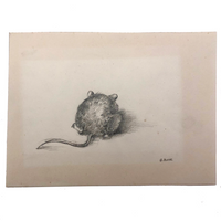 Little Mouse Pencil Drawing by G. Burns