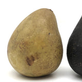 Beautifully Bruised Old Stone Fruit Pear + Lovely Black Fig, A Pair