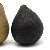 Beautifully Bruised Old Stone Fruit Pear + Lovely Black Fig, A Pair