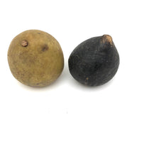 Beautifully Bruised Old Stone Fruit Pear + Lovely Black Fig, A Pair