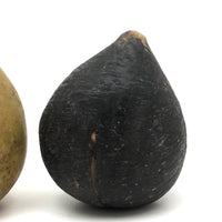 Beautifully Bruised Old Stone Fruit Pear + Lovely Black Fig, A Pair