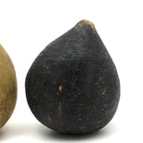 Beautifully Bruised Old Stone Fruit Pear + Lovely Black Fig, A Pair