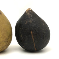 Beautifully Bruised Old Stone Fruit Pear + Lovely Black Fig, A Pair
