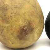 Beautifully Bruised Old Stone Fruit Pear + Lovely Black Fig, A Pair
