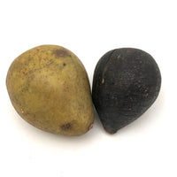 Beautifully Bruised Old Stone Fruit Pear + Lovely Black Fig, A Pair