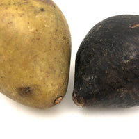 Beautifully Bruised Old Stone Fruit Pear + Lovely Black Fig, A Pair