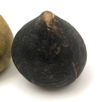 Beautifully Bruised Old Stone Fruit Pear + Lovely Black Fig, A Pair
