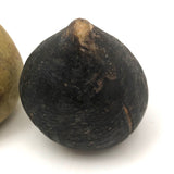 Beautifully Bruised Old Stone Fruit Pear + Lovely Black Fig, A Pair