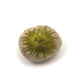 Lovely Tiny Antique Silk Covered Emory with Embroidered Green