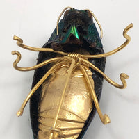 Real Scarab Beetle Vintage Pin