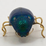 Real Scarab Beetle Vintage Pin
